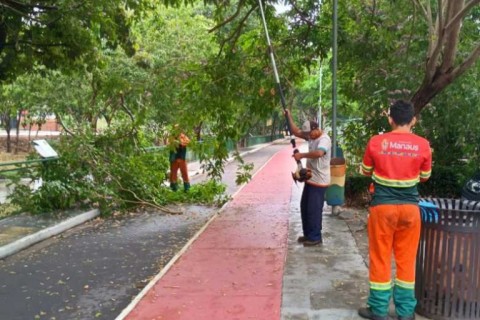 Passeio do Mindu recebe serviços de poda de árvores e limpeza