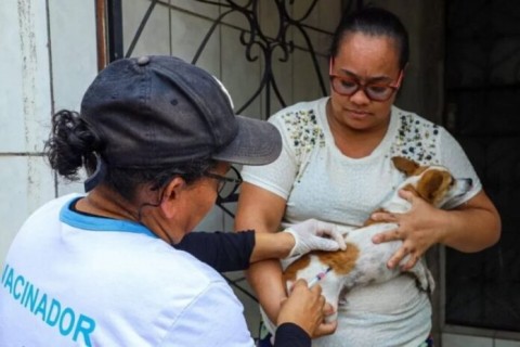 Prefeitura de Manaus inicia Campanha de Vacinação Antirrábica Animal 2024