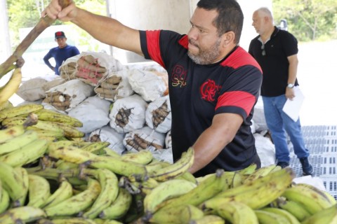 Governo do Amazonas adquire 13 toneladas de alimentos da agricultura convencional e indígena em Manaus